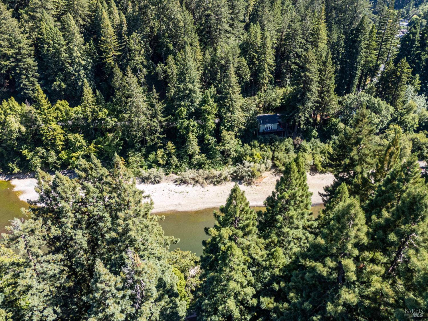 17390 Riverside Drive Guerneville, CA 95446 - Photo 18 of 20 a view of a garden with a lake