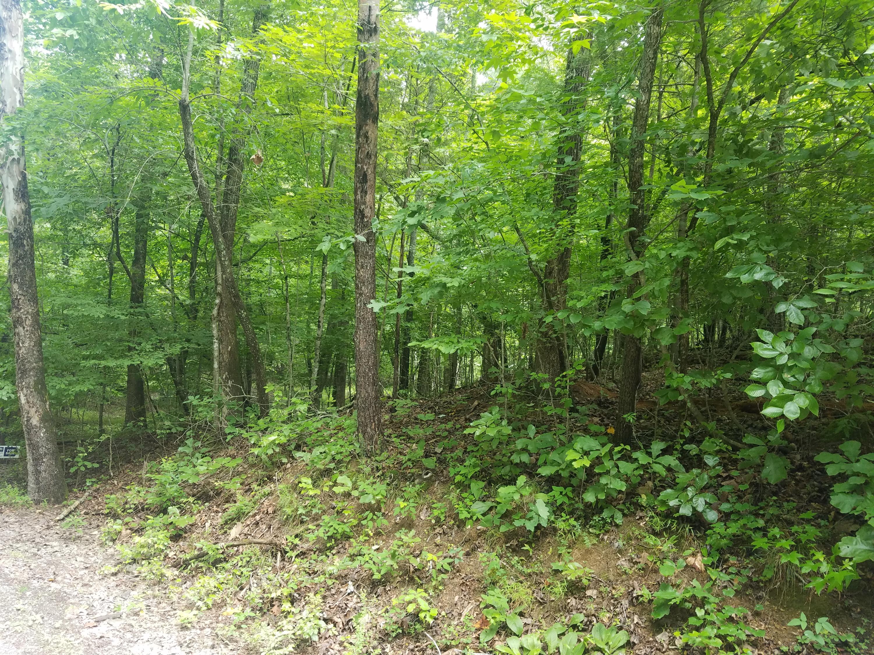 Watts Dr Spring Spring City, TN 37381 - Photo 1 of 11 20180629_121157