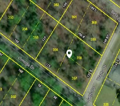 Watts Dr Spring Spring City, TN 37381 - Photo 2 of 11 WATTS