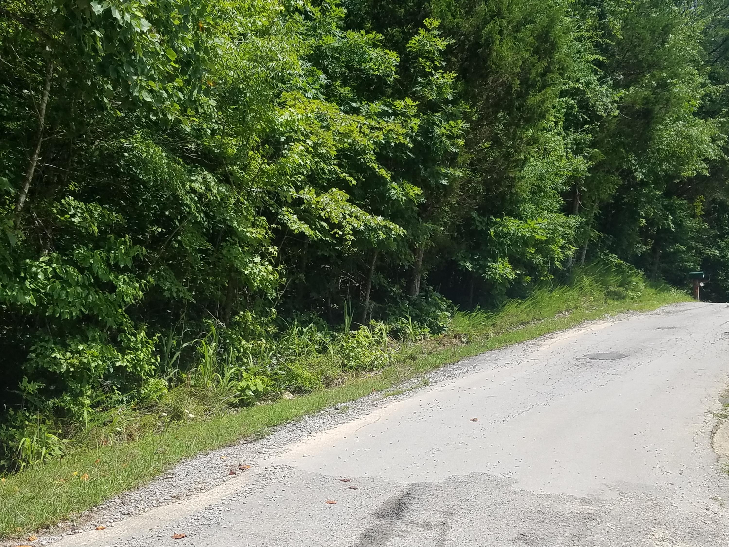 Watts Dr Spring Spring City, TN 37381 - Photo 5 of 11 20180629_121713