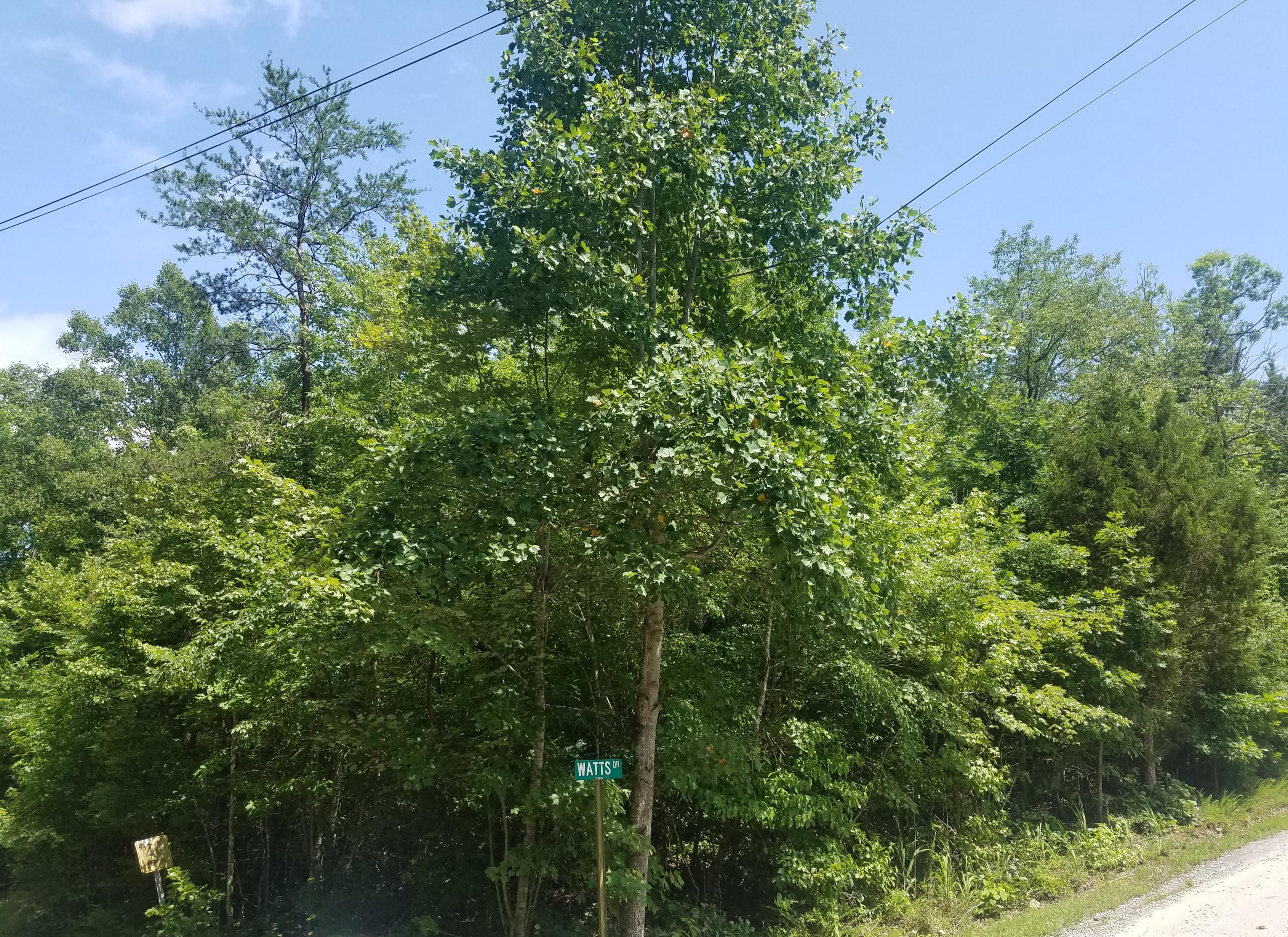 Watts Dr Spring Spring City, TN 37381 - Photo 6 of 11 20180703_134143