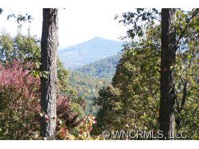 1130 Locust Ridge Bostic, NC 28018 - Photo 8 of 21 Gallery Image 8