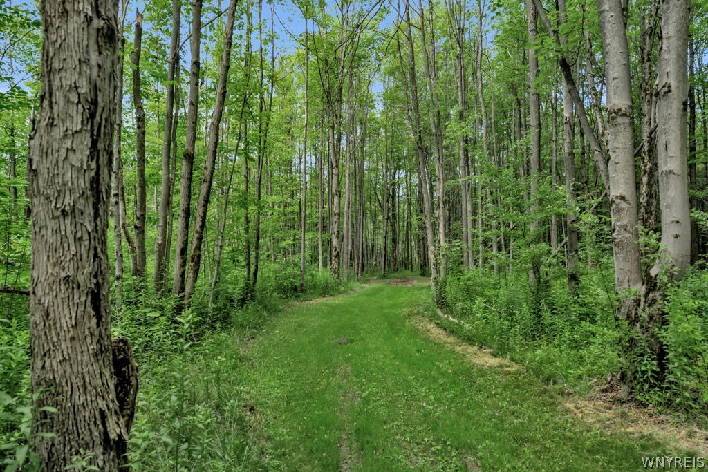 7700 Bleistein Road West Falls, NY 14170 - Photo 40 of 42