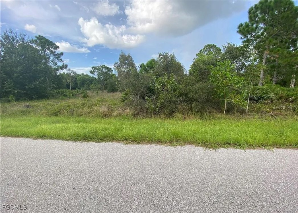 a view of a yard with potted plants and big trees