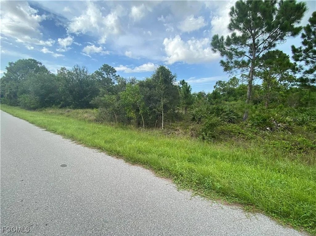 11258 3rd Avenue Punta Gorda, FL 33955 - Photo 4 of 4 a view of a big yard with potted plants and large trees