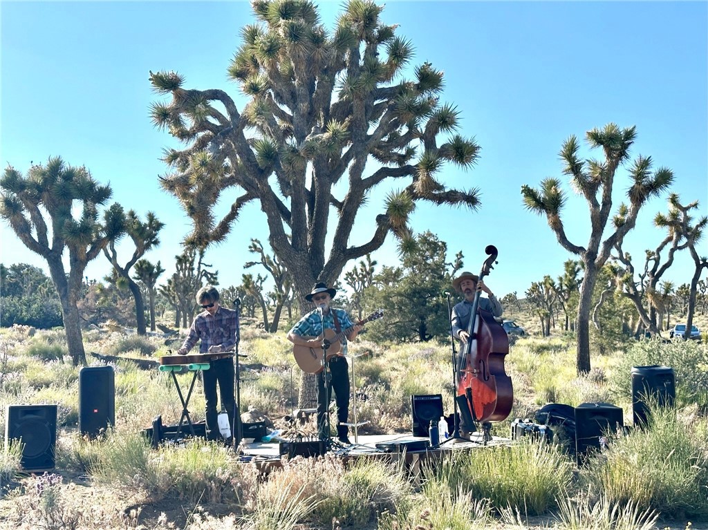 0 Vista Road Landers, CA 92285 - Photo 8 of 34 a view of a tree in front of a house
