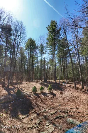 $349,000 | 307 Irish Hill Road, Berne, NY 12059