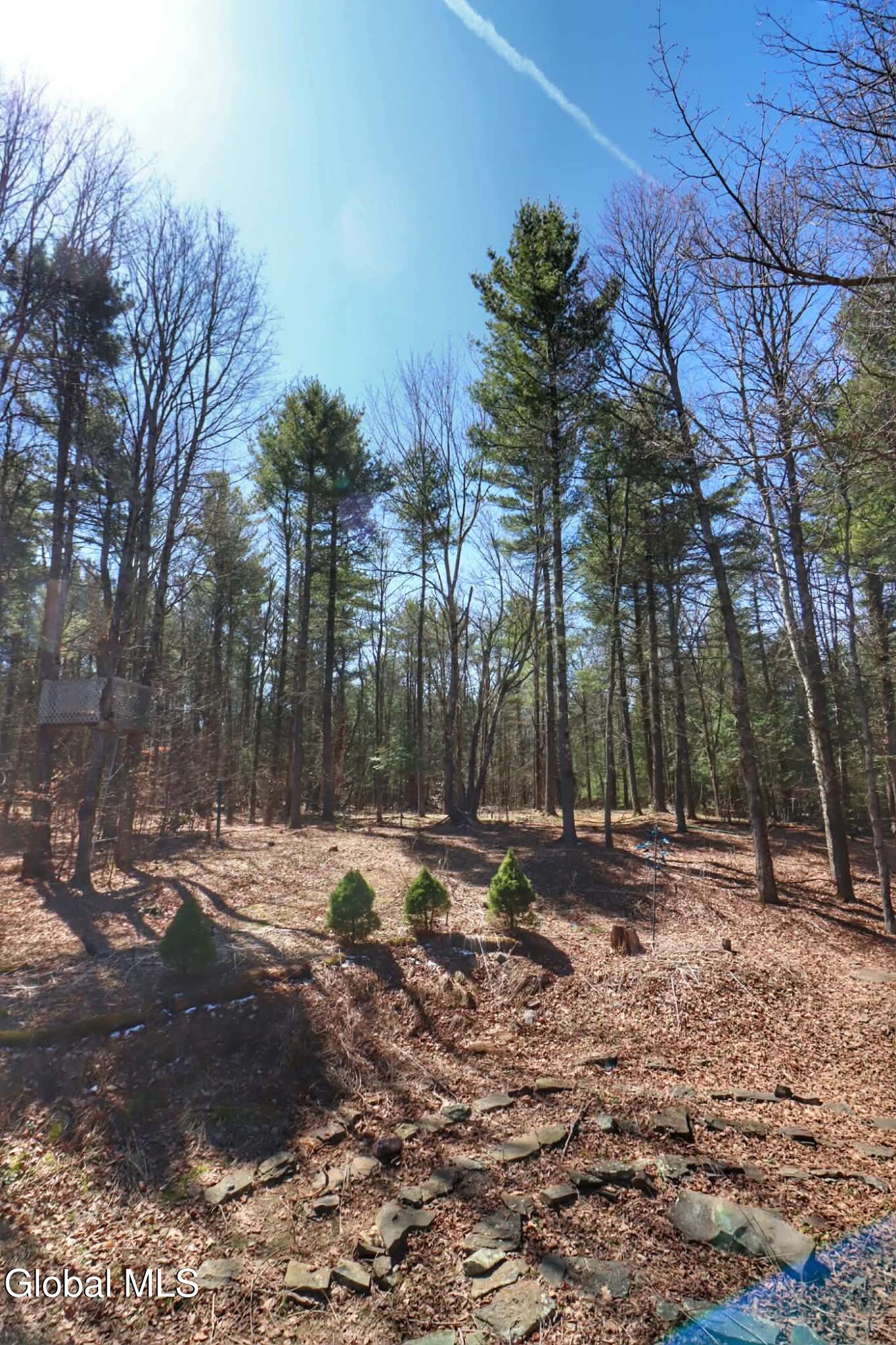 307 Irish Hill Road Berne, NY 12059 - Photo 62 of 79 att.XdfJsCWljz0CTwGpVB9U960wDlV3VzcZmH3T