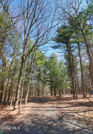 $349,000 | 307 Irish Hill Road, Berne, NY 12059