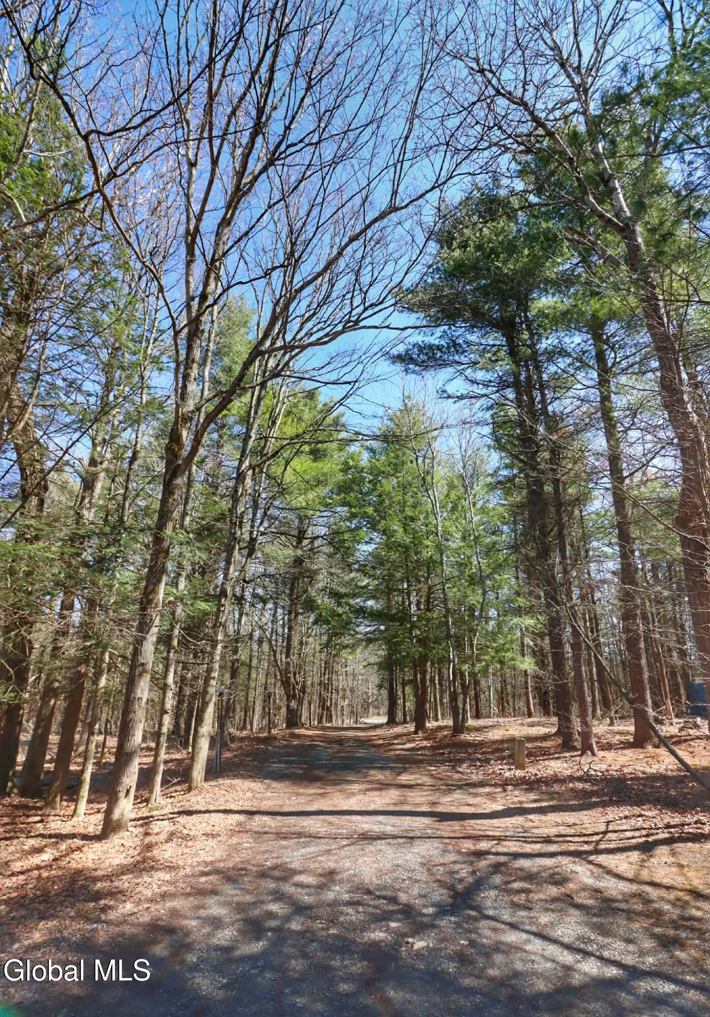 307 Irish Hill Road Berne, NY 12059 - Photo 72 of 79 att.hLeRmSBN9sYadqzHmoTFA_EaJYb5Sjf4ahNP