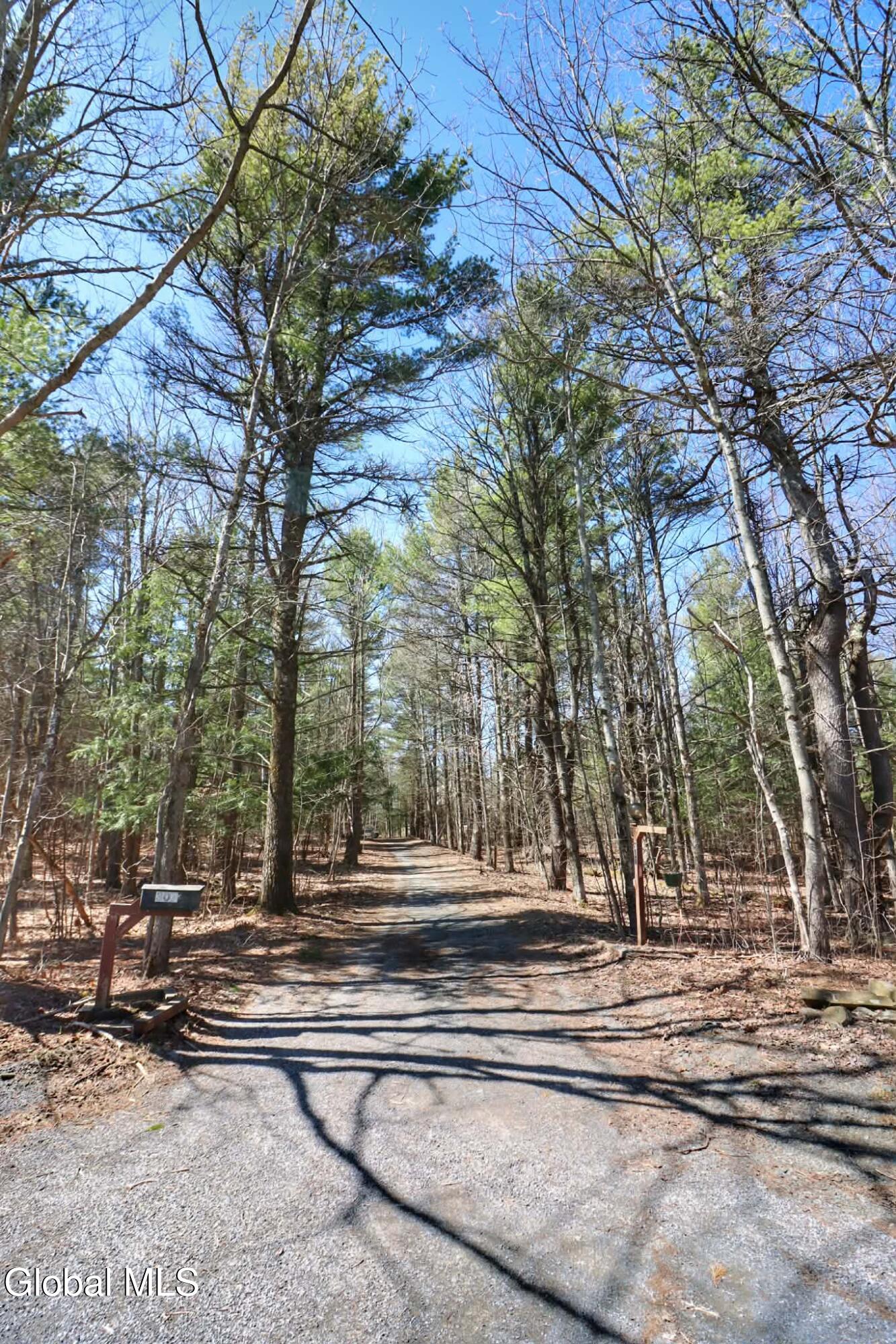307 Irish Hill Road Berne, NY 12059 - Photo 75 of 79 att.5jaaIa-2sI1dTam22B2oZE6kV1dnc1wHqUBw
