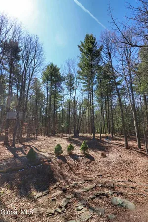 $349,000 | 307 Irish Hill Road, Berne, NY 12059