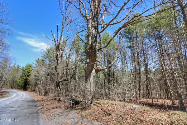 $349,000 | 307 Irish Hill Road, Berne, NY 12059