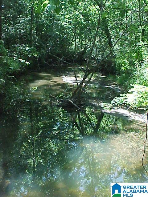 6530 County Road 17 Alabaster, AL 35114 - Photo 23 of 25