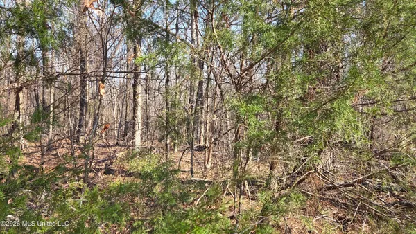 $139,900 | 163 Waites Road, Holly Springs, MS 38635