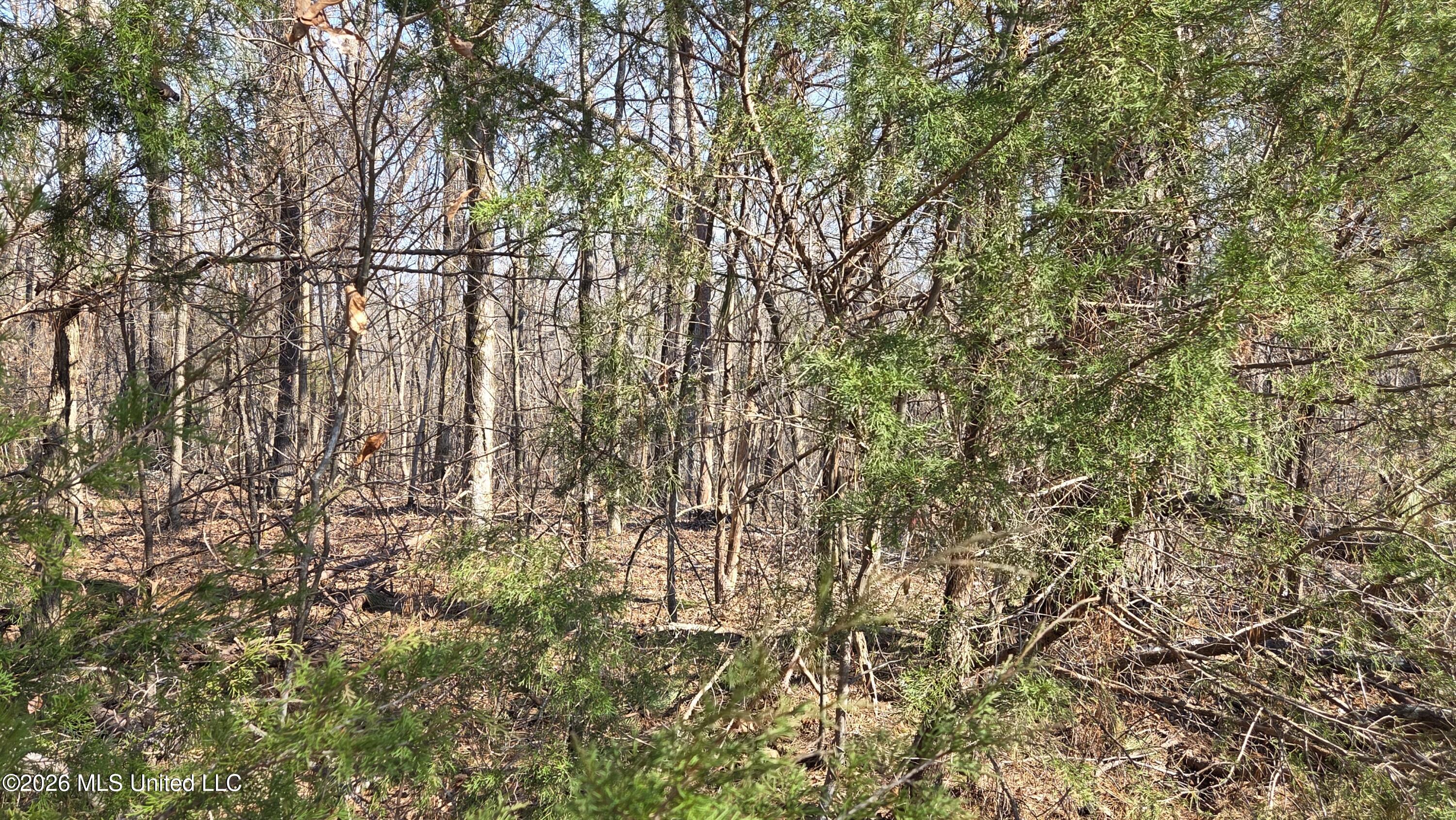 163 Waites Road Holly Springs, MS 38635 - Photo 11 of 15 20260228_100315