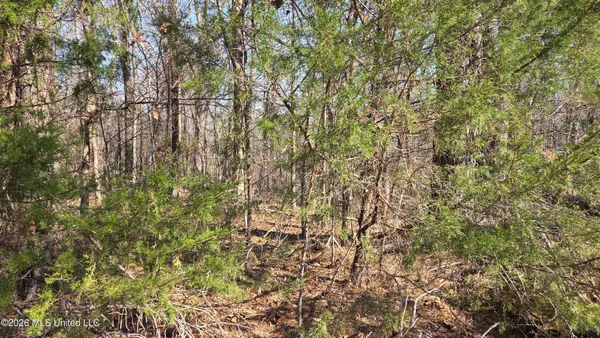 $139,900 | 163 Waites Road, Holly Springs, MS 38635