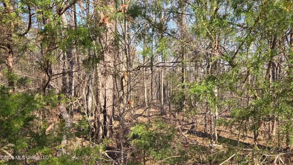 $169,900 | 163 Waites Road, Holly Springs, MS 38635