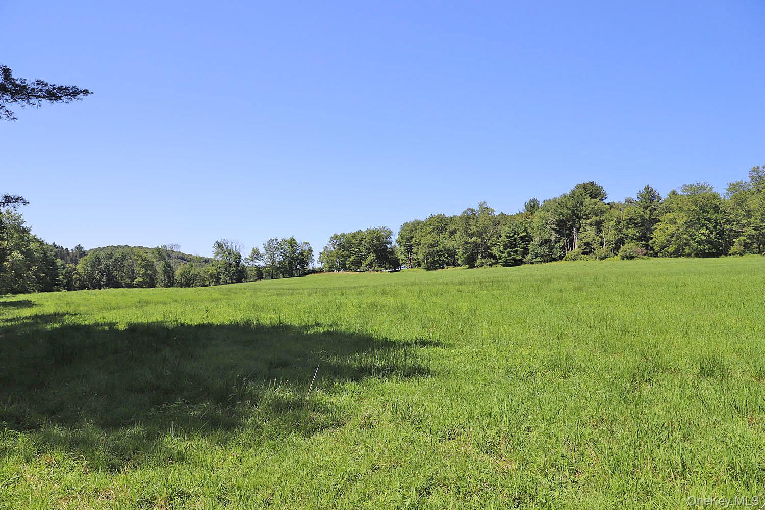 Lot 4 B Hurd Road Bethel, NY 12720 - Photo 16 of 20 Gallery Image 16