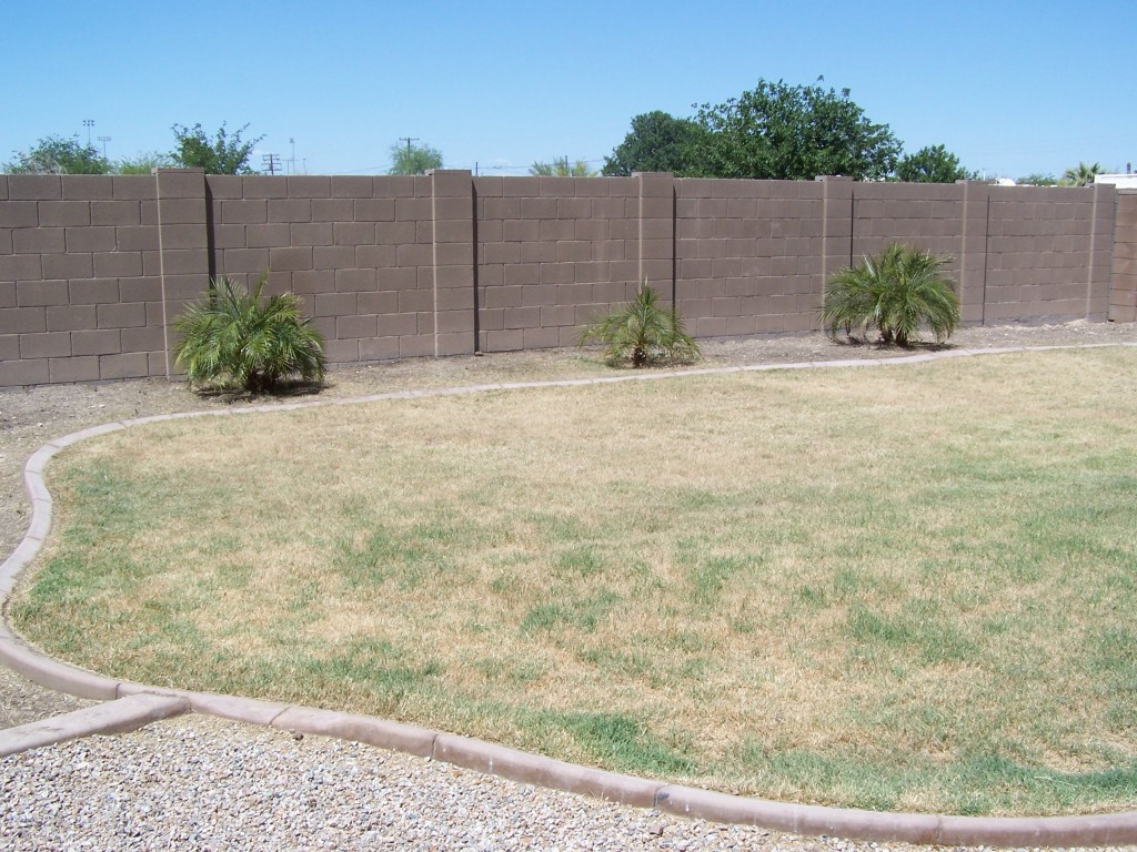 44934 West Jack Rabbit Trail Maricopa, AZ 85139 - Photo 10 of 12 10