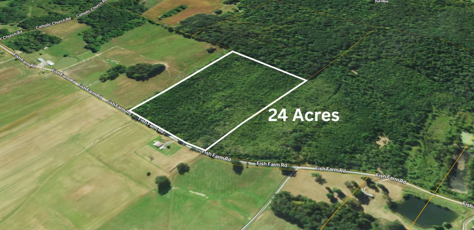 72 Fish Farm Road Golconda, IL 62938 - Photo 3 of 15