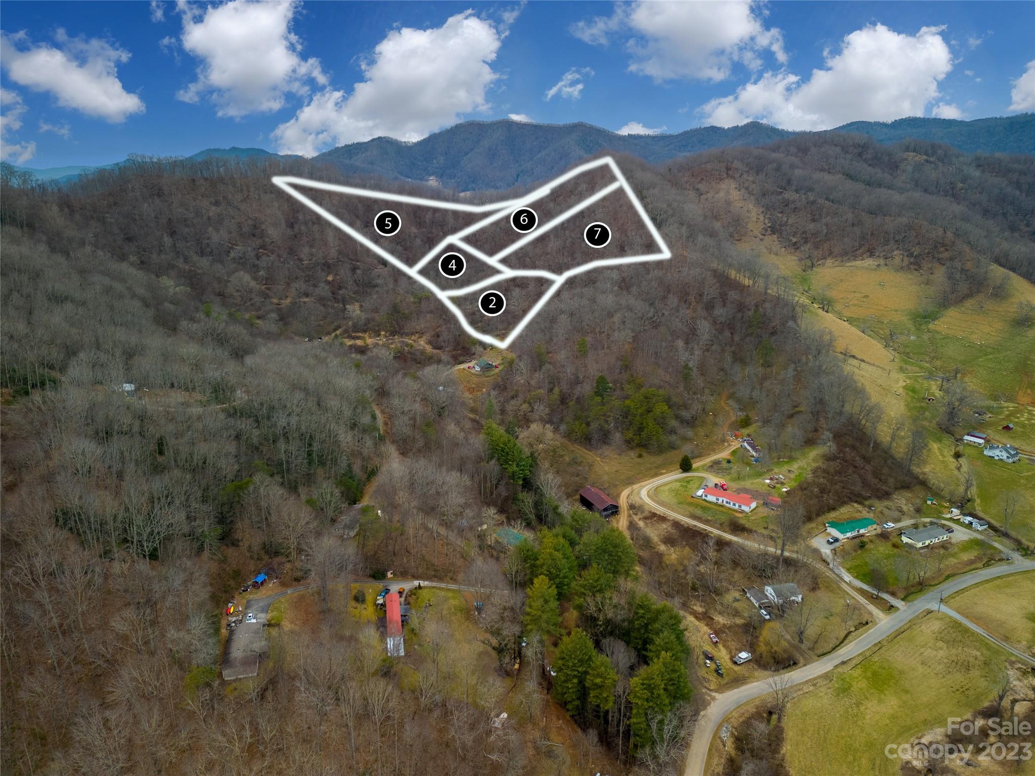 Lot #7 Pressley Mine Road Canton, NC 28716 - Photo 5 of 8 Gallery Image 5