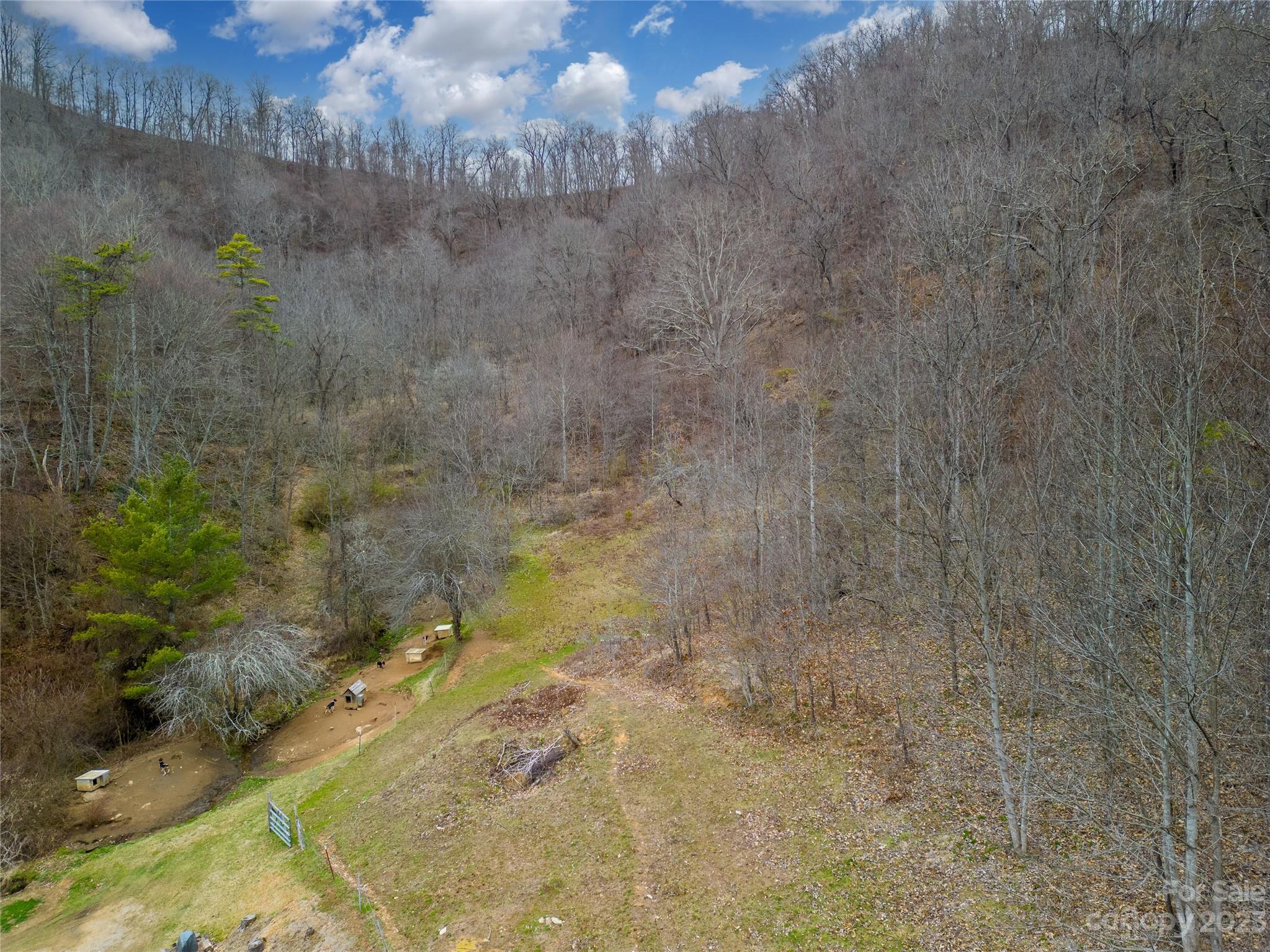 Lot #7 Pressley Mine Road Canton, NC 28716 - Photo 6 of 8 Gallery Image 6
