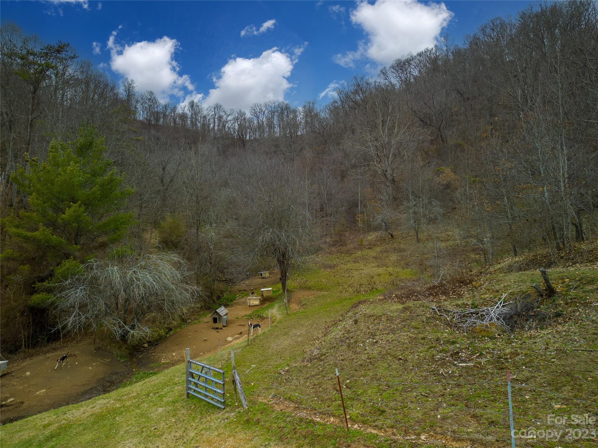 Lot #7 Pressley Mine Road Canton, NC 28716 - Photo 7 of 8 Gallery Image 7