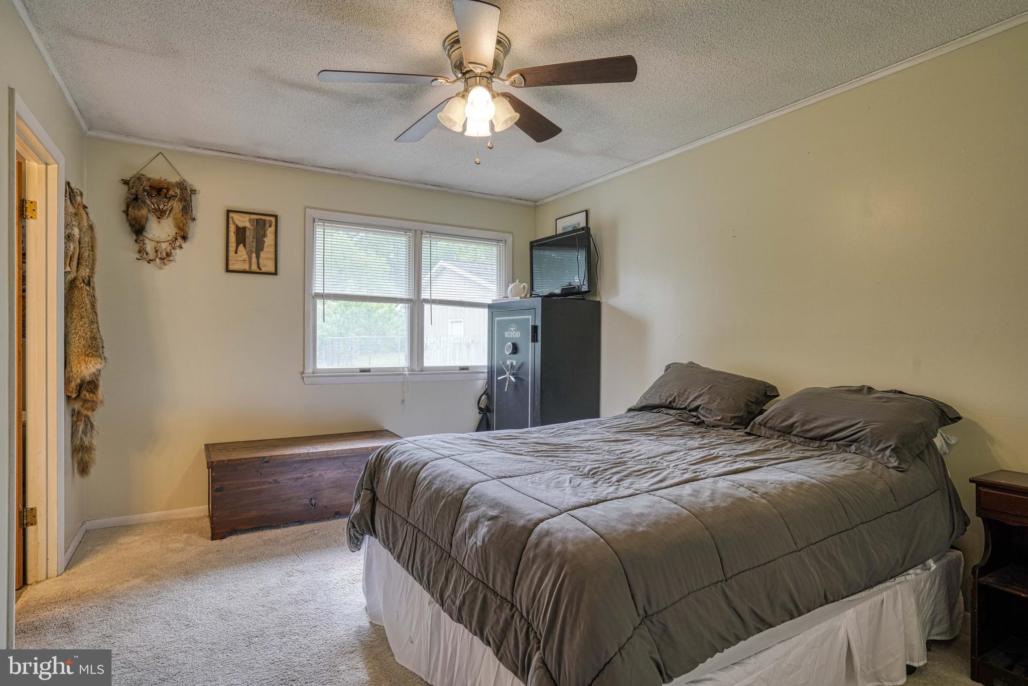 13023 Mason Branch Road Ridgely, MD 21660 - Photo 50 of 111 Gallery Image 50