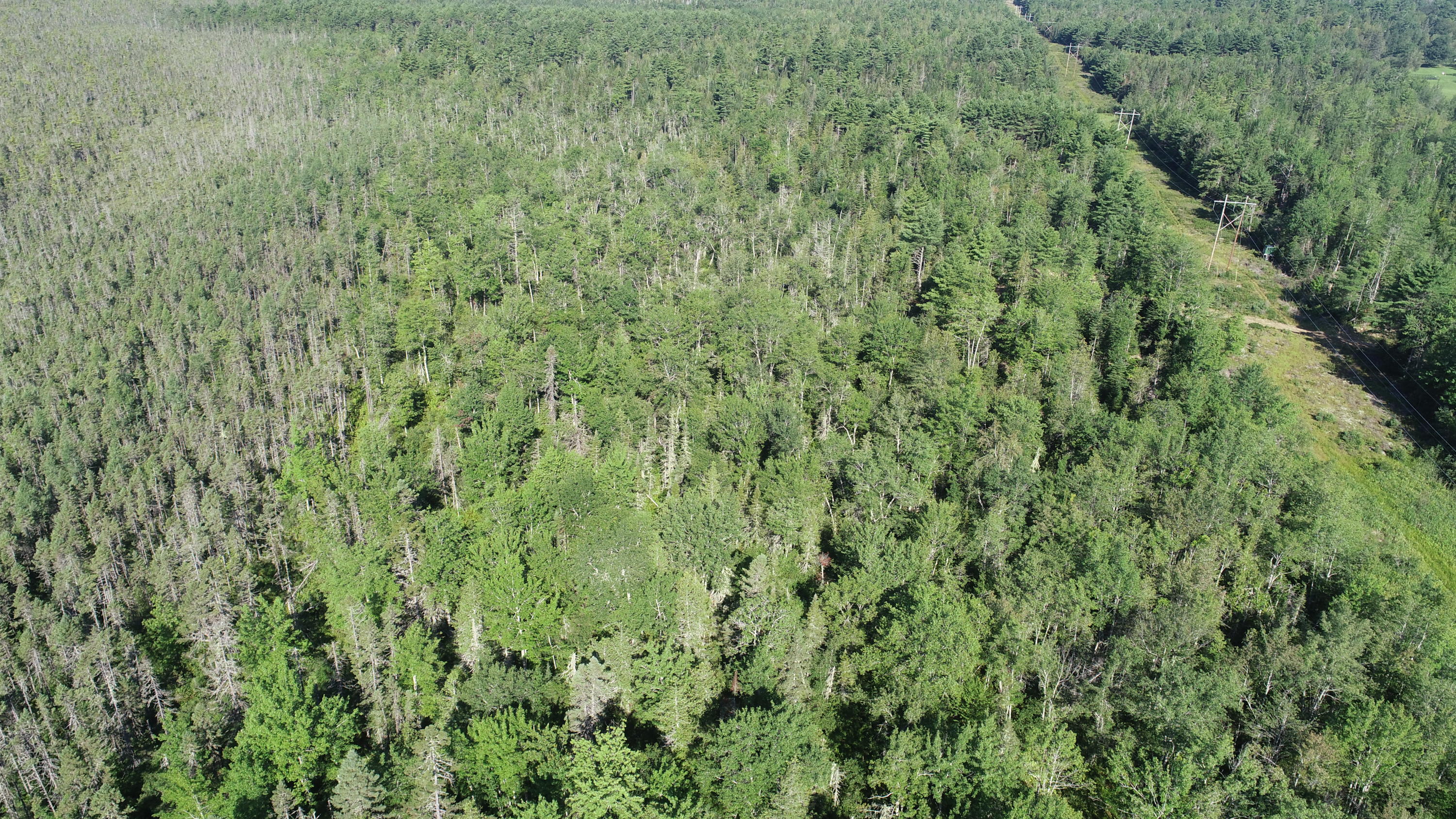 DJI_0141