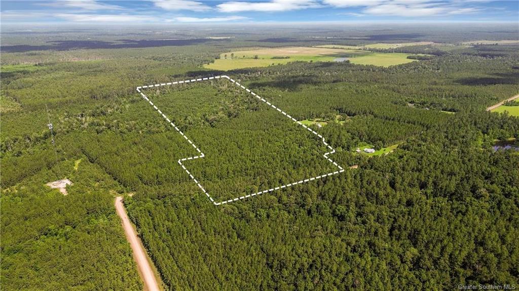 0 Phil Cooley Rd Road Longville, LA 70652 - Photo 2 of 5 Gallery Image 2