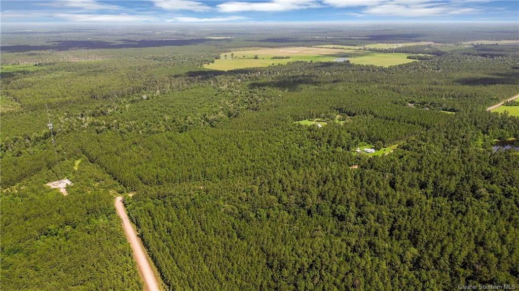 0 Phil Cooley Rd Road Longville, LA 70652 - Photo 3 of 5 Gallery Image 3