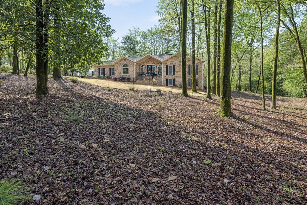 9610 County Line Road Midland, GA 31820 - Photo 6 of 68 Gallery Image 6