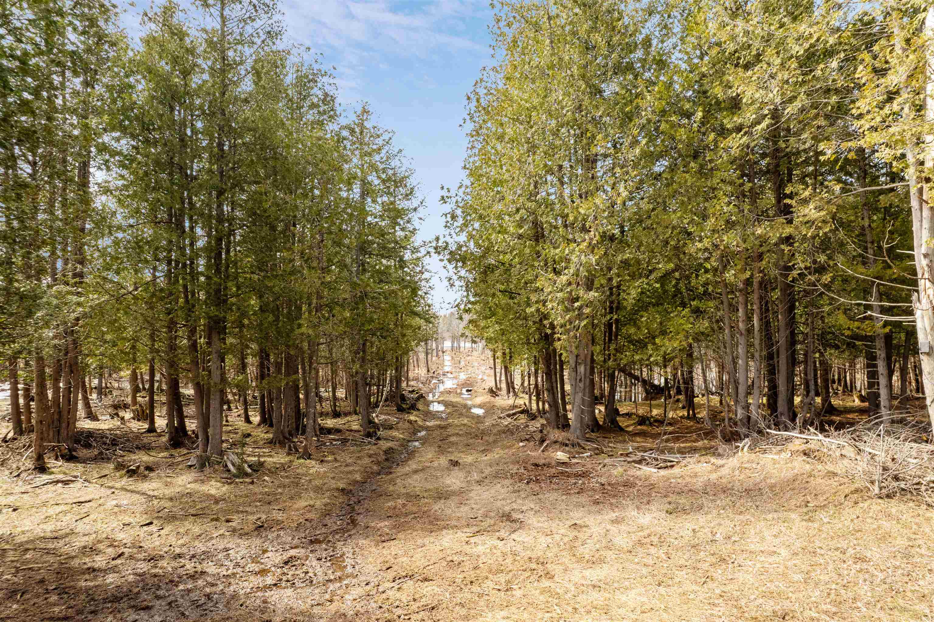 W3702 Chartre Road Stephenson, MI 49887 - Photo 28 of 36