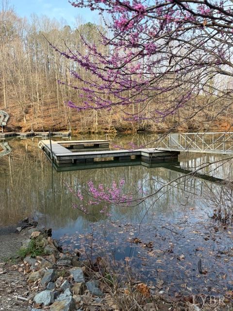 1 Sunset Bay Road Gretna, VA 24557 - Photo 5 of 10
