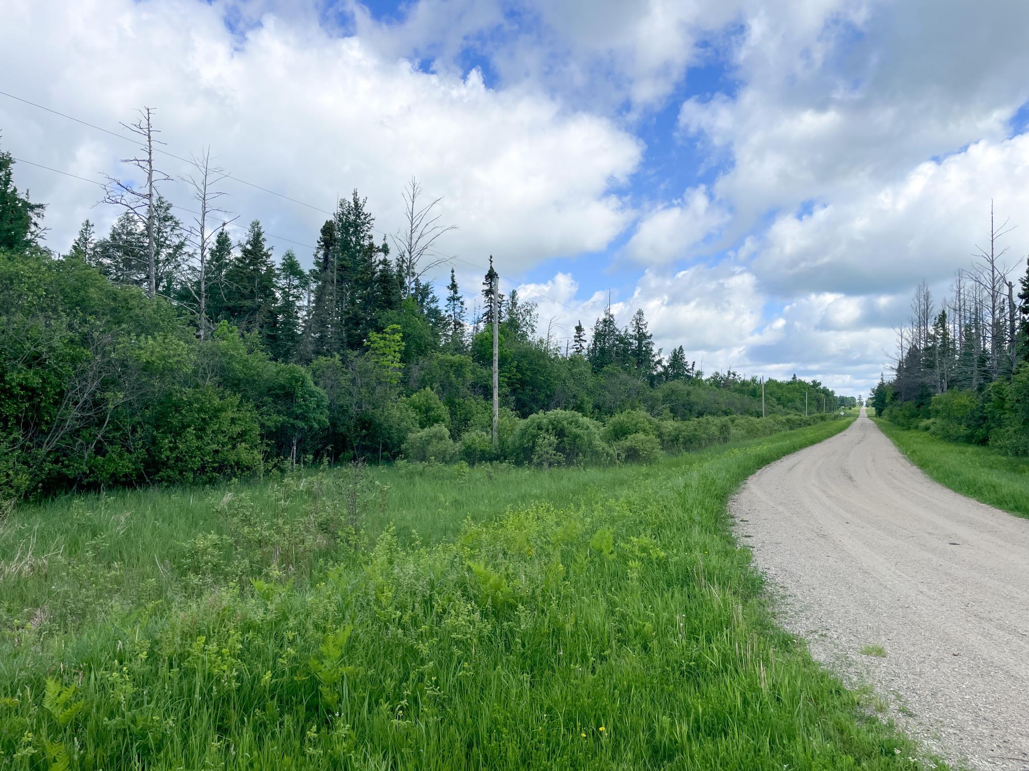 Tbd1 Mud Lake Road Bagley, MN 56621 - Photo 24 of 31