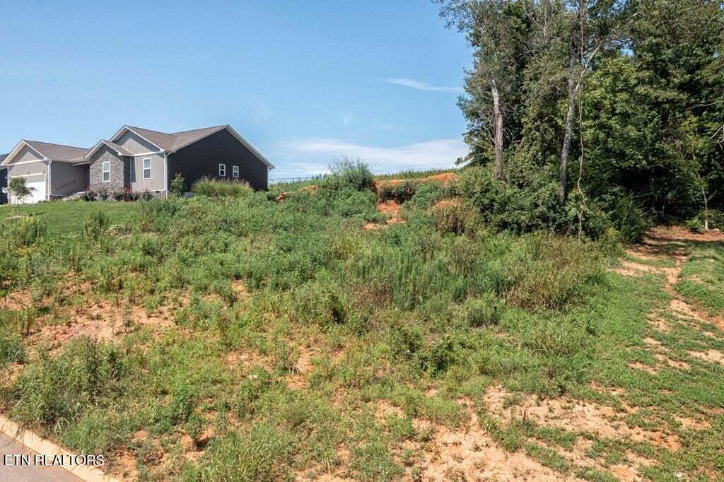 211 Mockingbird Lane Dayton, TN 37321 - Photo 5 of 8 Mock5