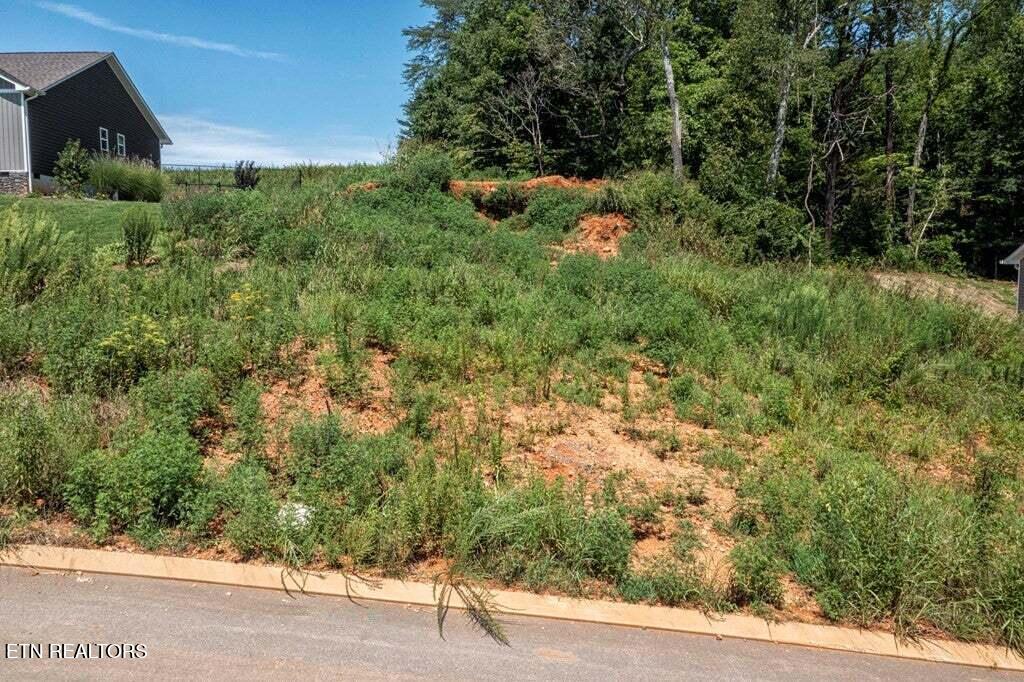 211 Mockingbird Lane Dayton, TN 37321 - Photo 6 of 8 Mock6