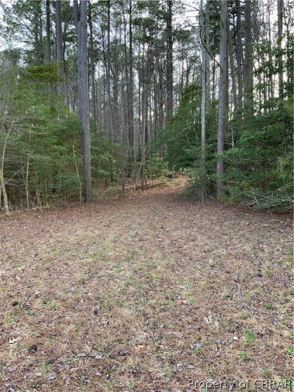 Lot 1 Neumans Road Heathsville, VA 22473 - Photo 5 of 11