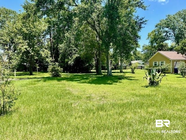 0 West Carolyn Avenue Foley, AL 36535 - Photo 6 of 18