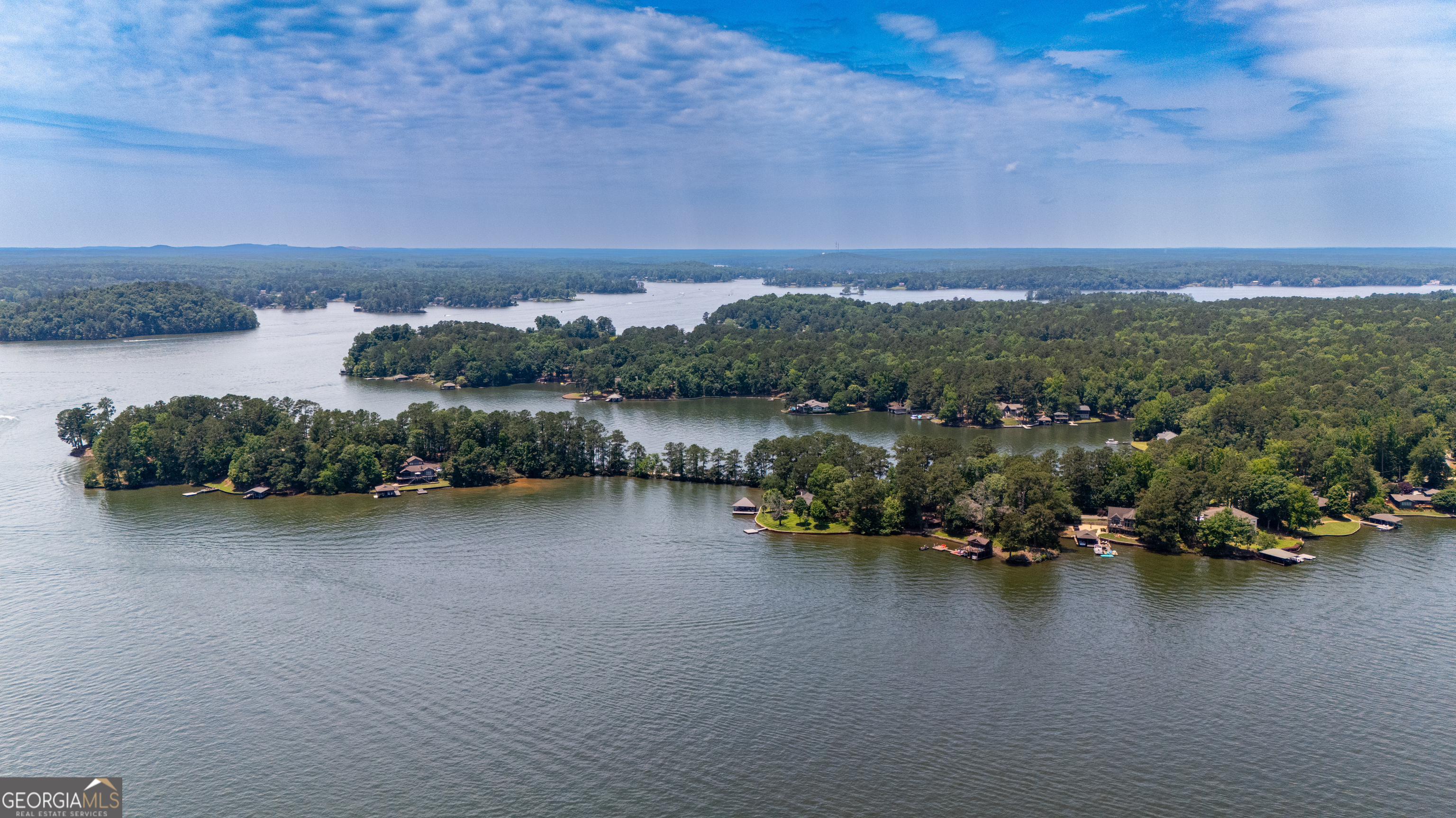 230 Kelly Drive Hamilton, GA 31811 - Photo 50 of 53 an aerial view of a houses with lake view