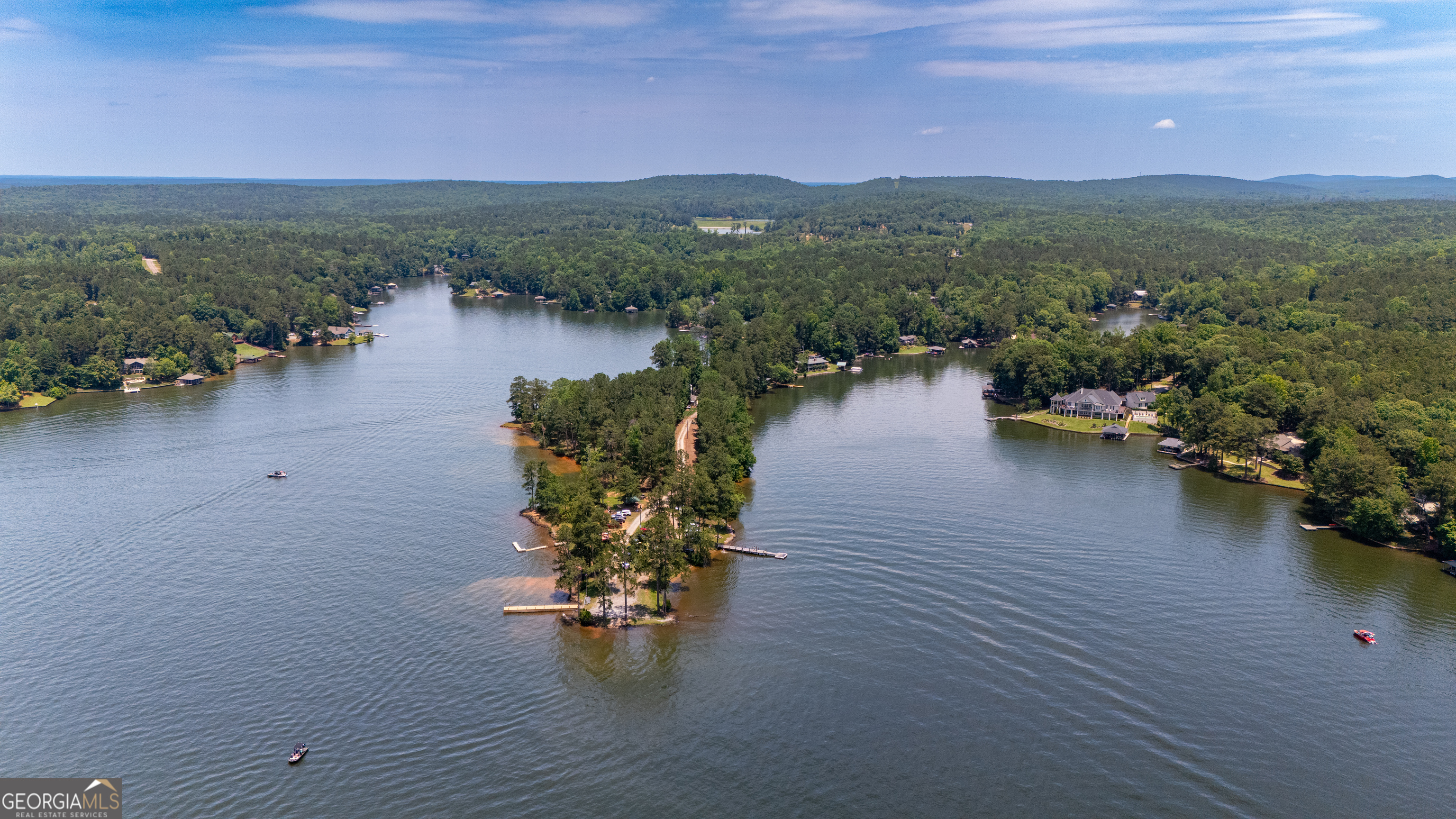 230 Kelly Drive Hamilton, GA 31811 - Photo 51 of 53 a view of a lake with a mountain in the background