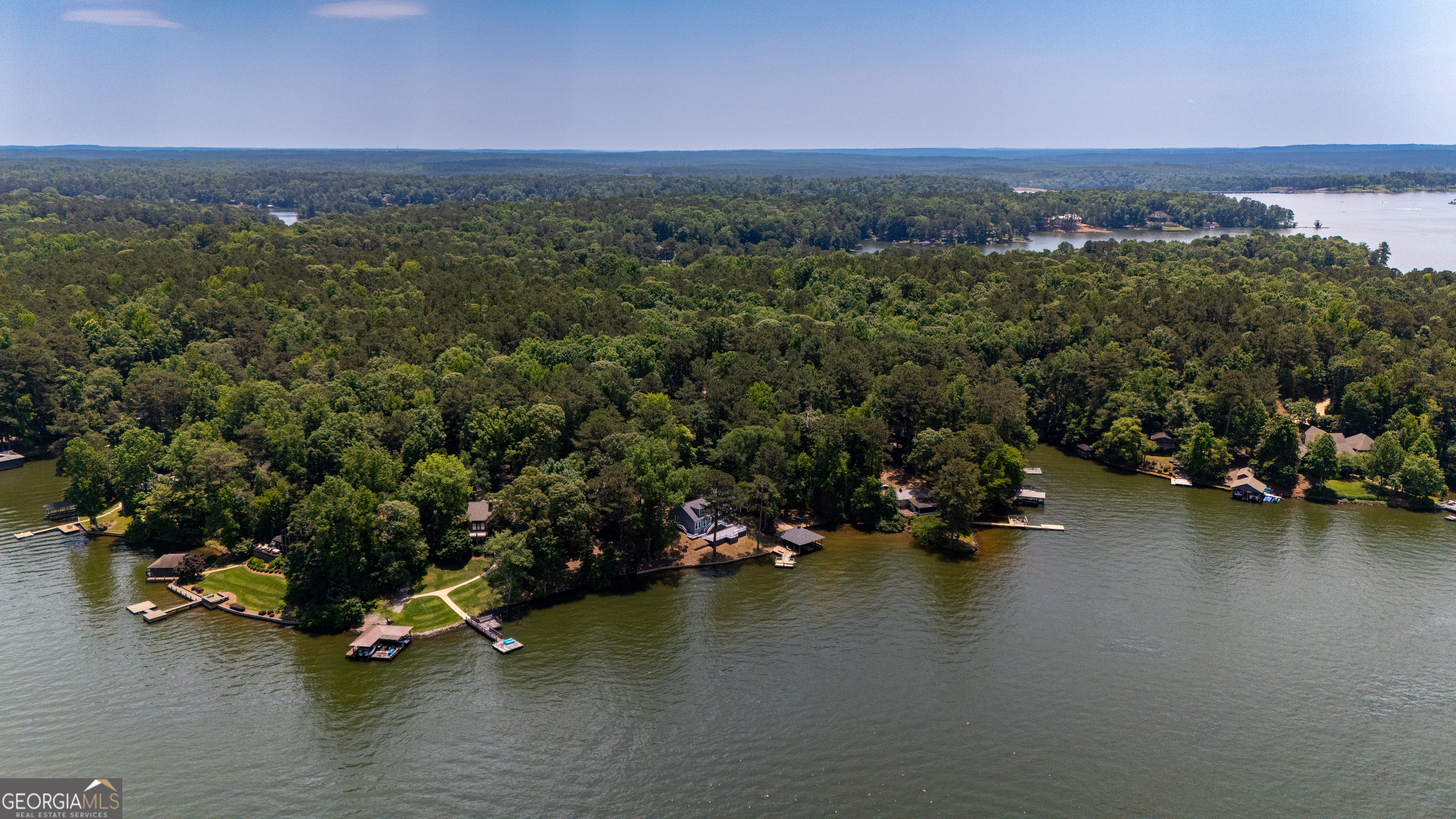 230 Kelly Drive Hamilton, GA 31811 - Photo 52 of 53 an aerial view of a houses with a lake view