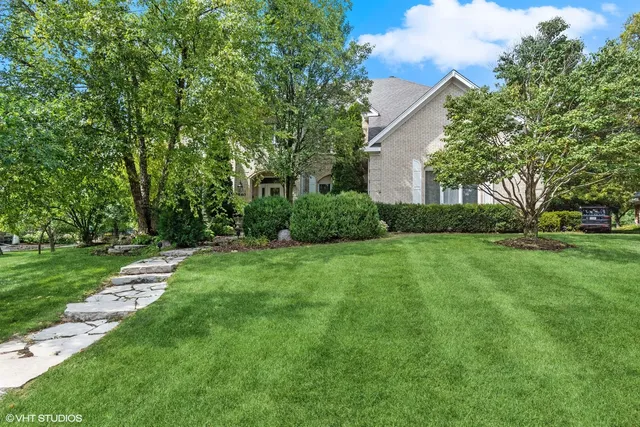 a view of a backyard with large trees