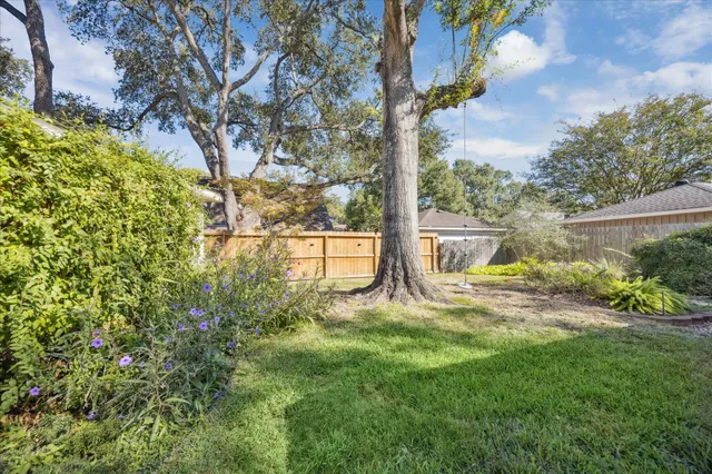a view of backyard with plants and garden