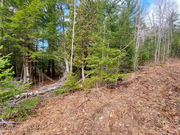 $55,000 | 0 Pioneer Path, Unit LOT 5, Aurora, ME 04408