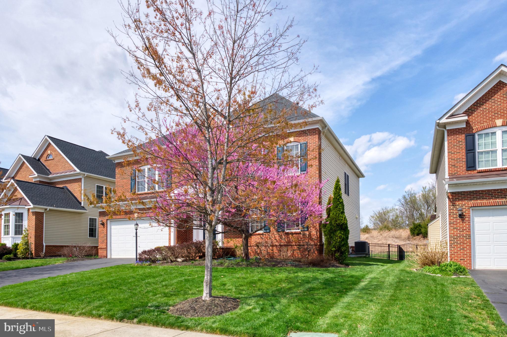 42330 Rising Moon Place Brambleton, VA 20148 - Photo 12 of 60