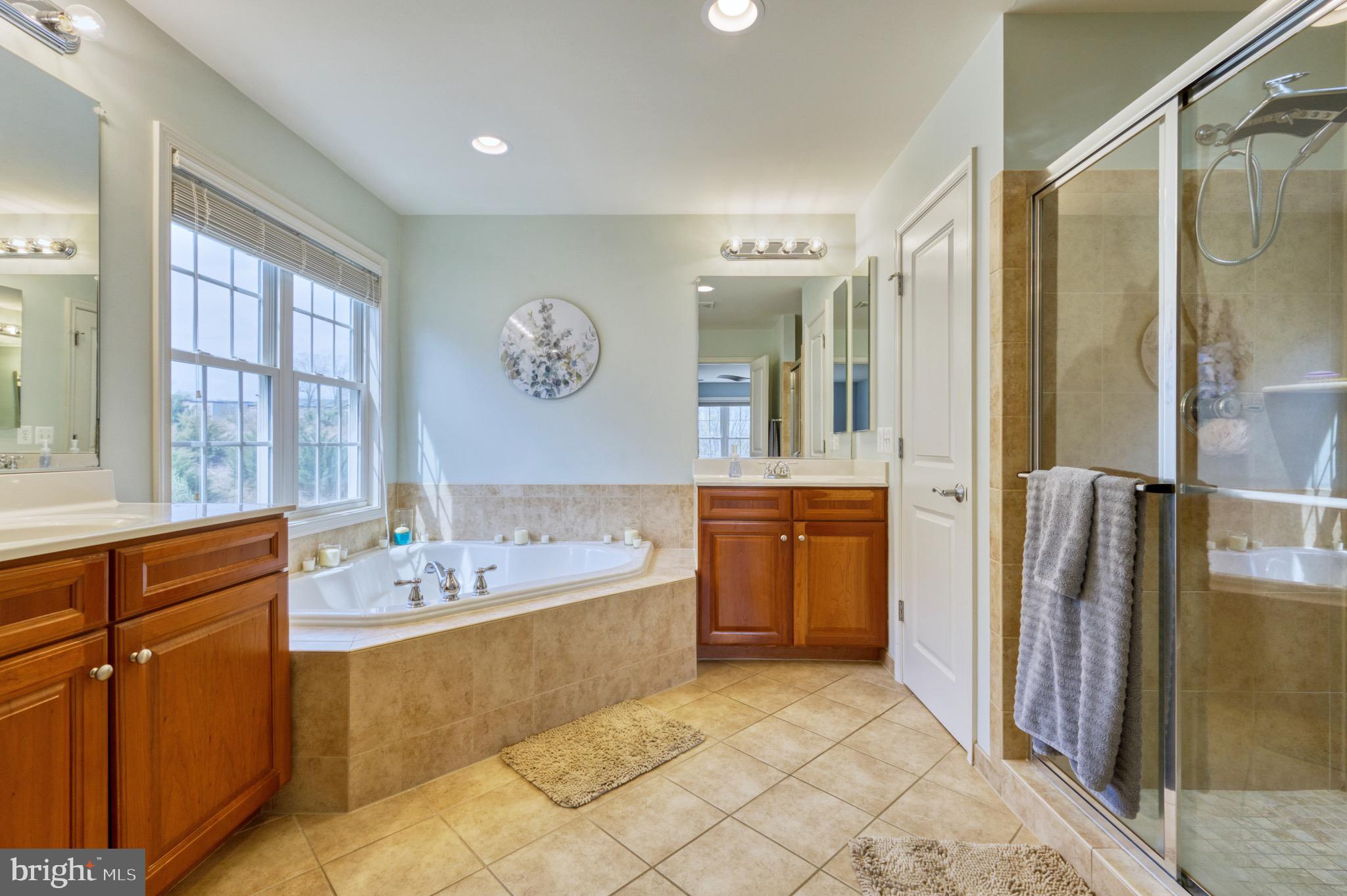 42330 Rising Moon Place Brambleton, VA 20148 - Photo 41 of 60