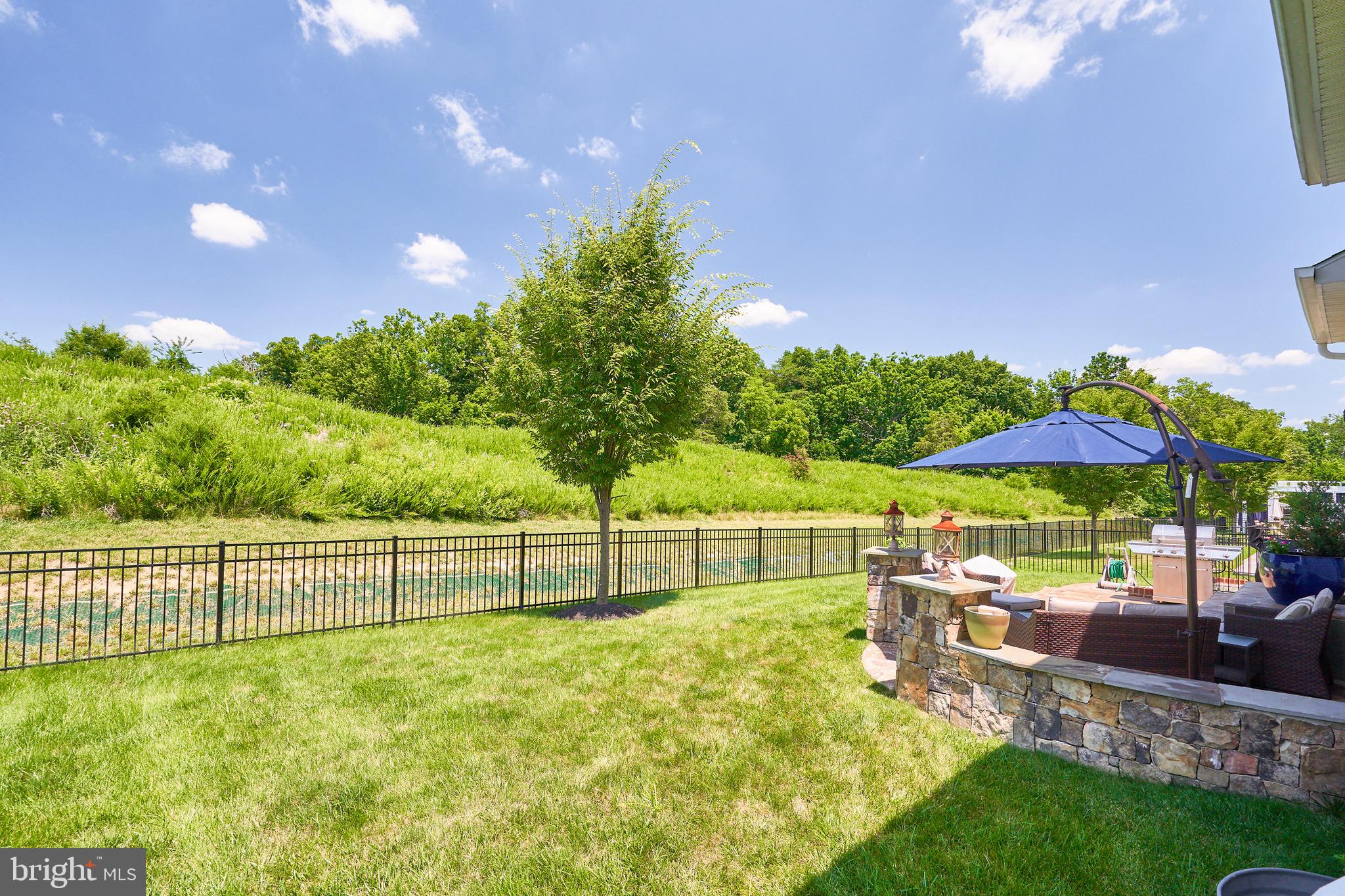 42330 Rising Moon Place Brambleton, VA 20148 - Photo 7 of 60