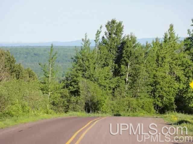 Tbd Oneco Road Calumet, MI 49913 - Photo 3 of 10
